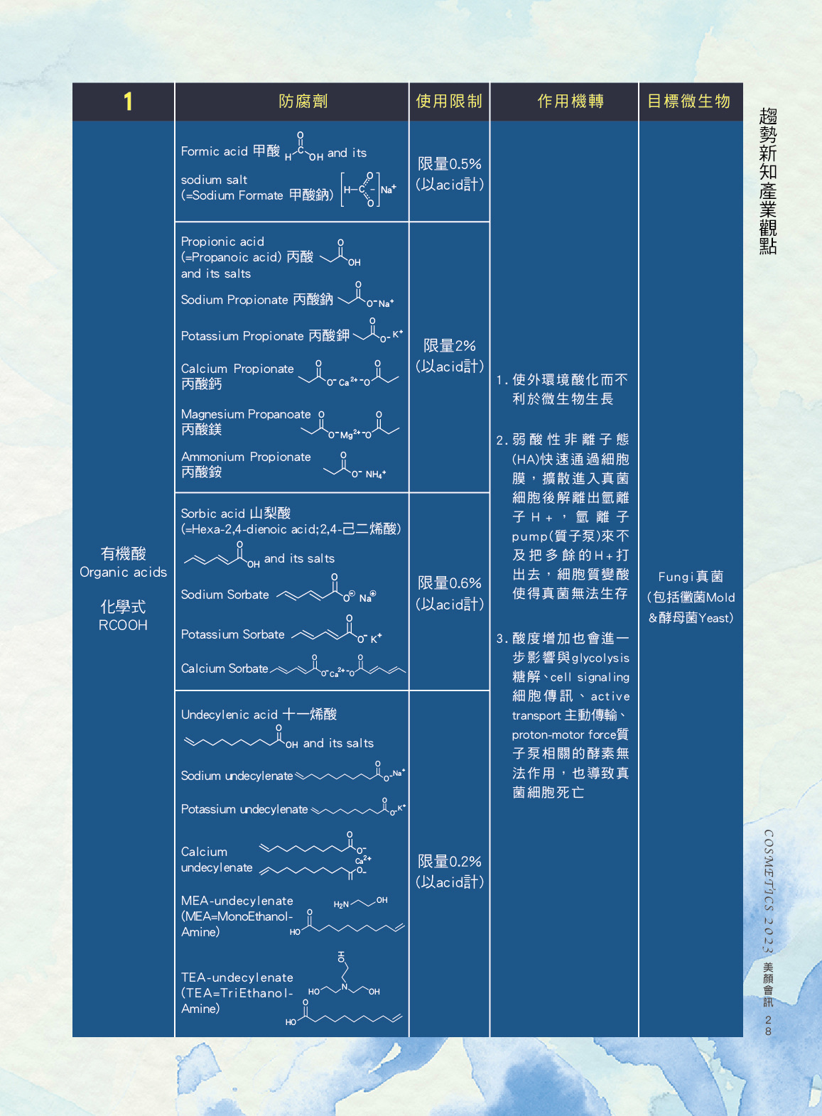 第31頁